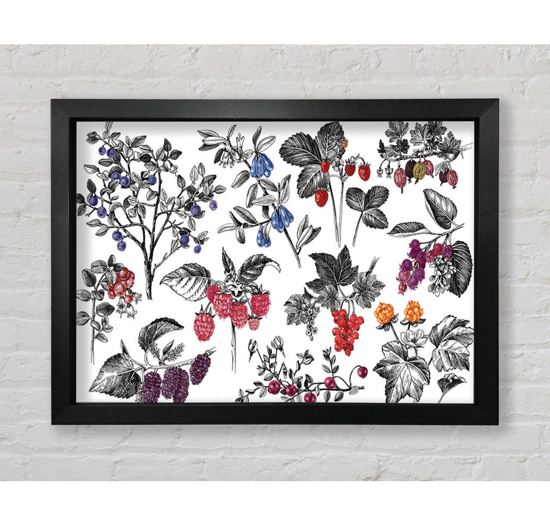 Collage aus Blumen und Beeren - Druck