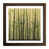 Walnut selected
