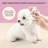 Dog Ear Cleaning Hypoallergenic Wipes with Extracts of Chamomile and Oat Kernel (120 Count)