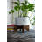 Thurlow Ceramic Pot Planter