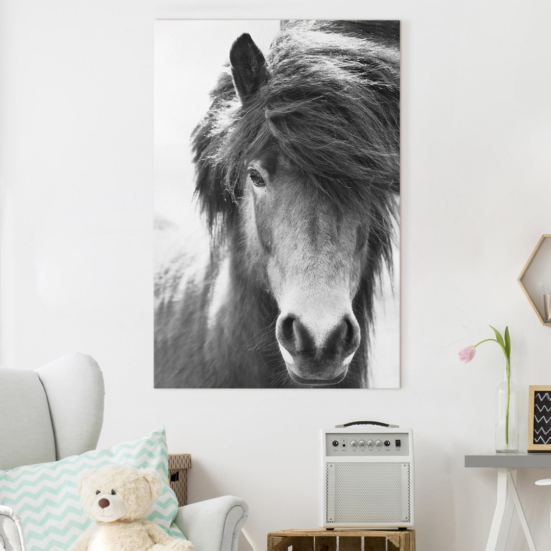 Leinwandbild Icelandic Horse in Black and White von Monika Strigel