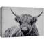 Portrait d'animaux sur fond blanc-93629438-93629442