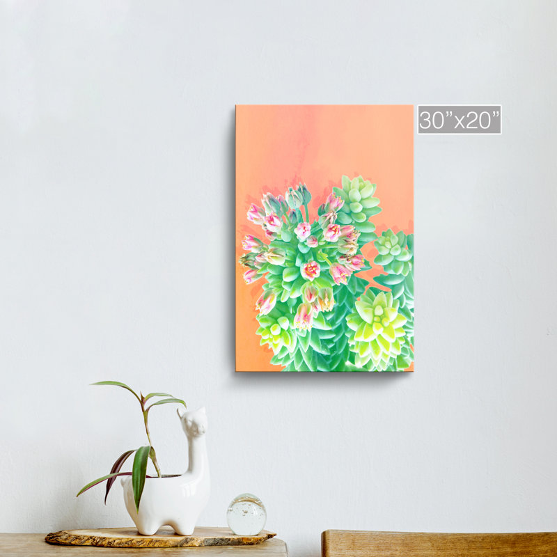 « fraîche growth », impression sur toile succulent, H 16 po x l 12 po x P 1,5 po, Toile tendue