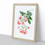 Rambler Roses by Pierre-Joseph Redoute - Picture Frame Painting Print-55602245-55602246