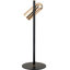 Beverlie Iron Desk Lamp