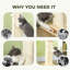 Cat Tree / Condo-1198480048