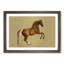 Whistlejacket by George Stubbs - Framed Print-62765546-62765547