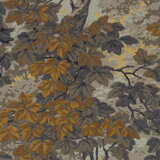 Richmond Park Wallpaper