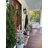 Mini Cedar Pine Silk Tree-33247203