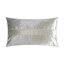 Iridescence Band Decorative Pillow-50817102-114600295