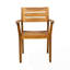 Ensemble de 2 chaises d'extérieur Farmhouse-1572860188