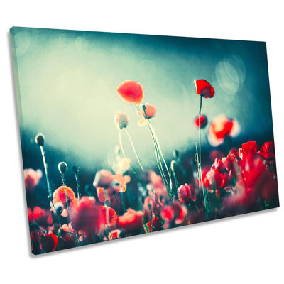 Poppy Flowers Moonlight - Wrapped Canvas Print