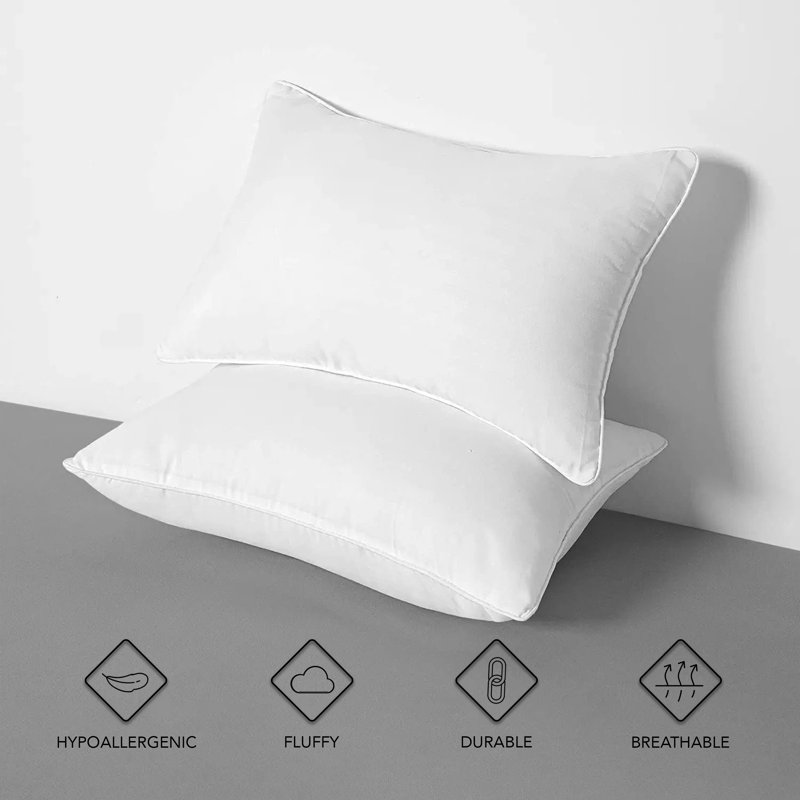 Ensemble de 2 coussins décoratifs hypoallergéniques en duvet synthétique (ensemble de 2) - Intérieur décoratif
