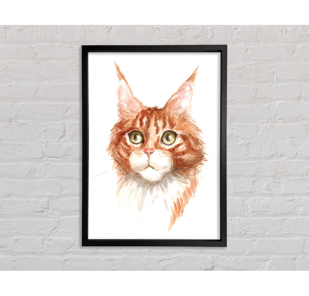 Ginger Tom Cat - Einzelner Bilderrahmen Kunstdrucke auf Leinwand