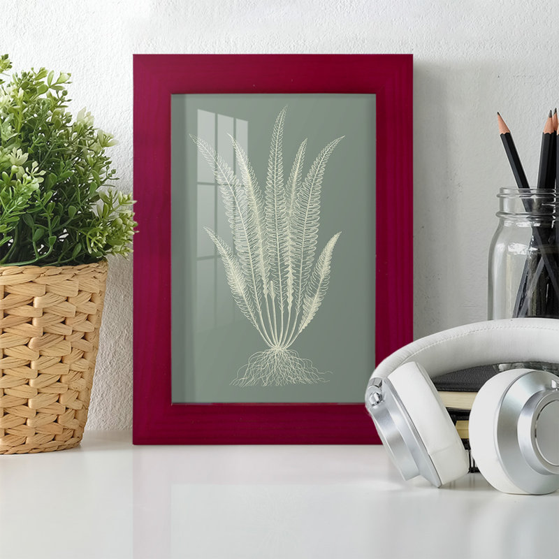 Ferns On Sage IV, reproduction d'art encadrée, Rouge, H 6 po x l 4 po x P 1 po