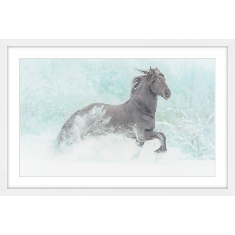 « gambades equus », reproduction d’art encadrée, H 16 po x l 24 po x P 1,5 po