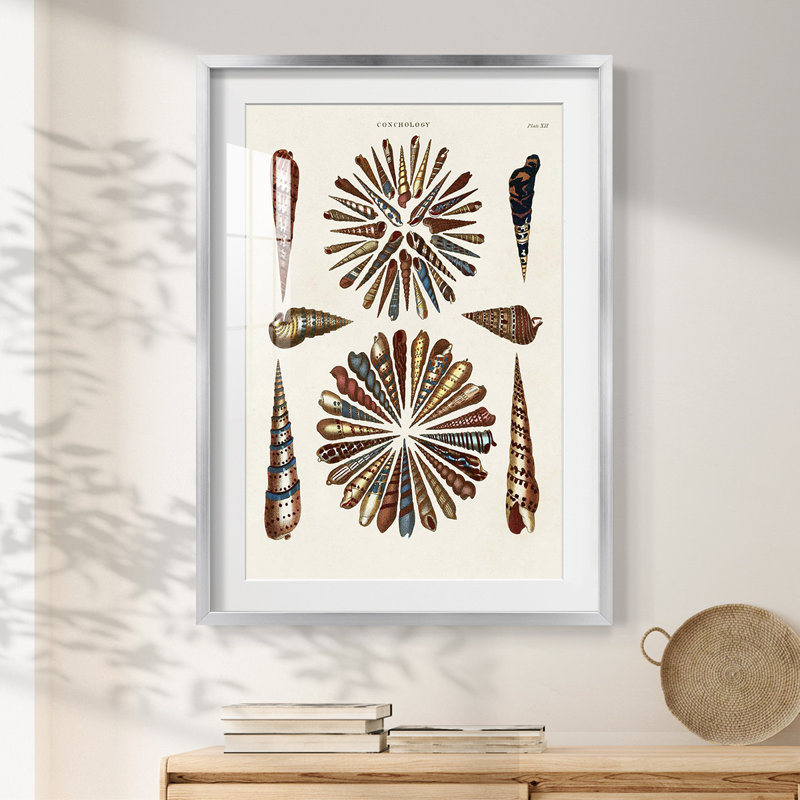 Kammerer -Gallery Wrapped Canvas