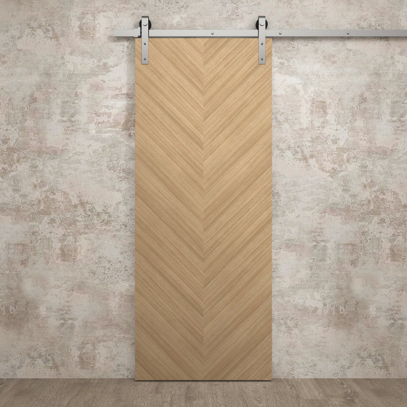 Porte de grange moderne 32 x 84 pouces Ego 5005 Chêne naturel Rail de 6,6 pi, quincaillerie robuste, panneaux pleins, portes intérieures