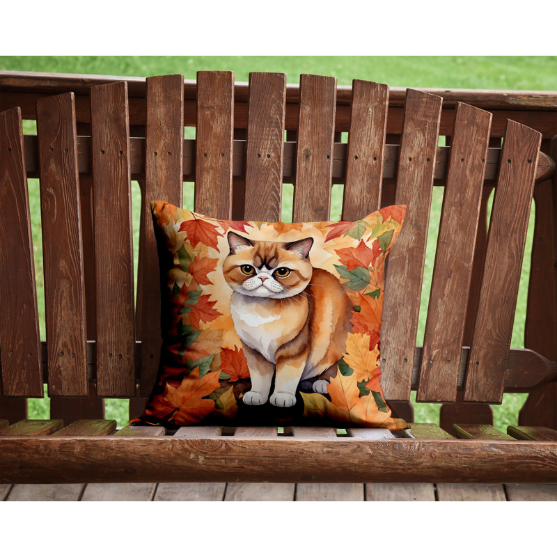 Coussin Exotic Shorthair, Carré 14 po