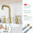 Widespread 2 Handles Bathroom Faucet with Water Supply Lines-1631516355-1613886757