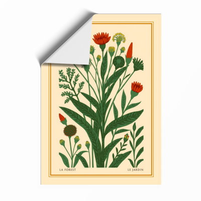Flowering Plant Study Botanical - Framed Print