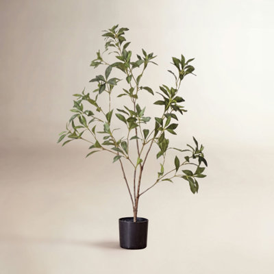 Gant Faux Tree