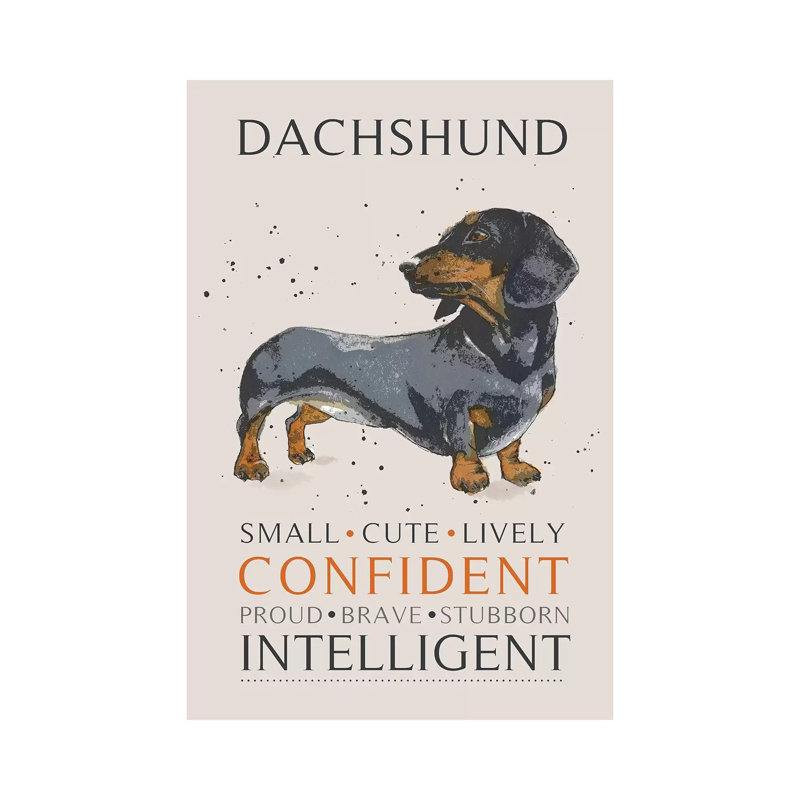 " Dachshund " by Michelle Campbell, 12" H x 8" W x 0.75" D