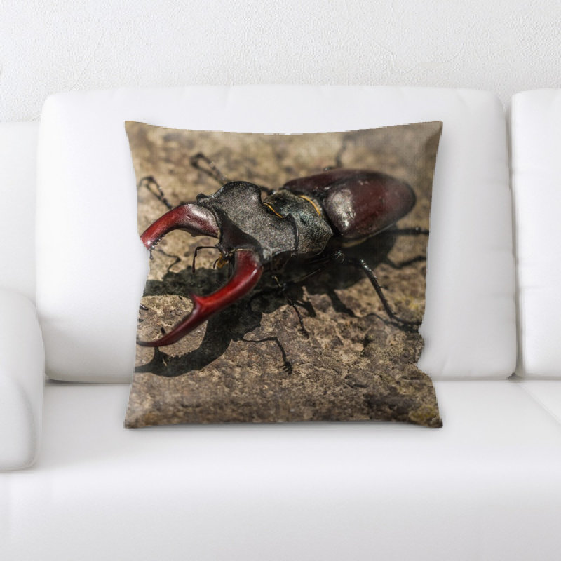 Coussin décoratif staging