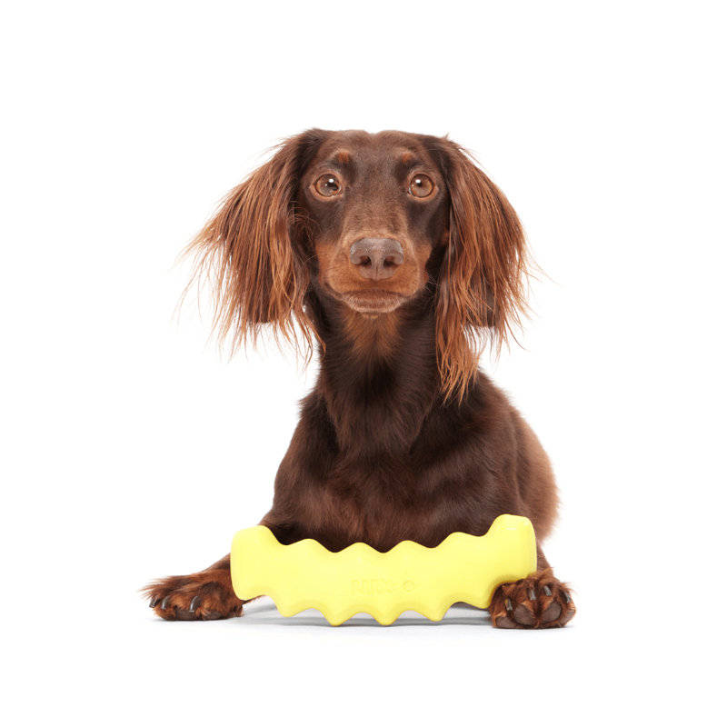 The Best Of Bark Super Chewer Accessories