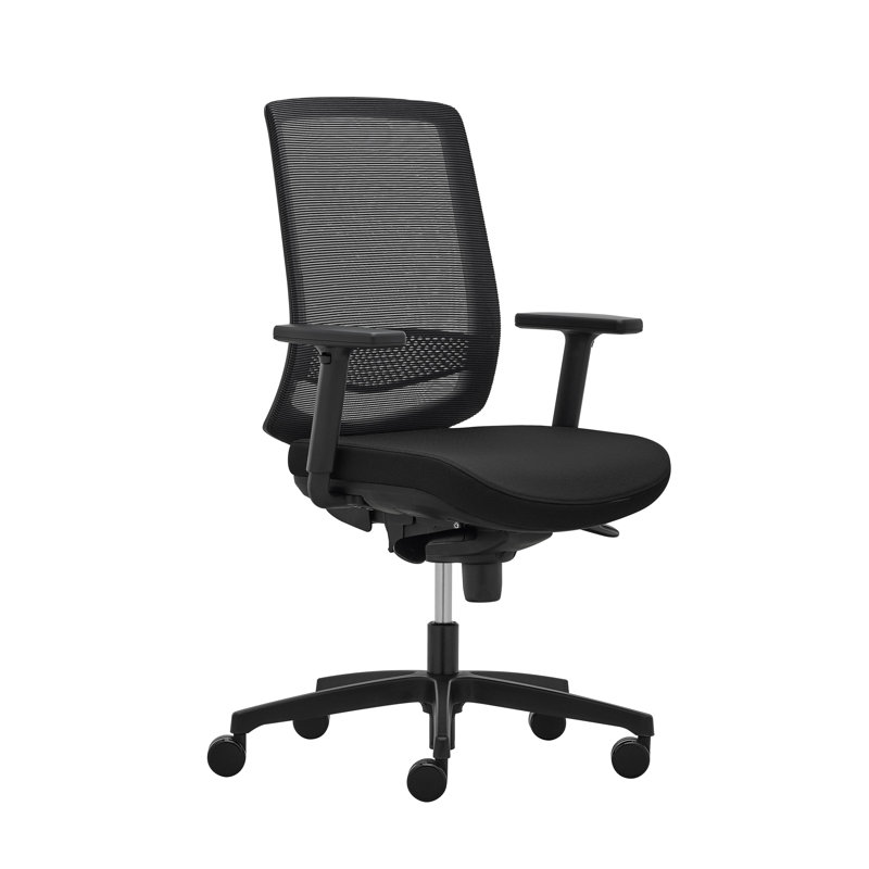 Mahlea Foam Padding Office Chair, Black