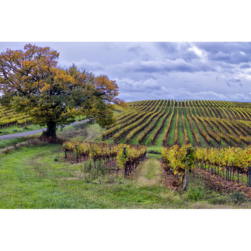 «Pastoral Countryside I», photographie sur toile, H 32 po x l 48 po