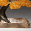 Small - Genuine Citrine Clustered Gemstone Tree on A Quartz Crystal (The Joyful Tree)