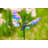 Weather Resistant Glass Insects Garden Stake