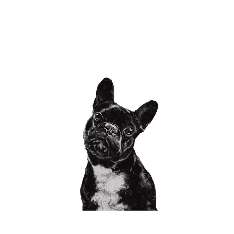 Bulldog by Big Nose Work - Wrapped Canvas Print, 66.04 cm H x 45.72 cm W x 1.91 cm D