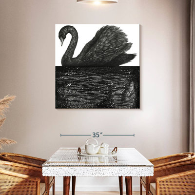 Brampt Black Swan Reflection