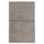 Area Rug in Gray
