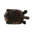 Statue de jardin tortue