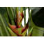 140cm Faux Banana Leaf Plant in Pot