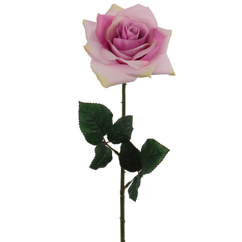 Tige de roses