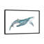 Art de baleine-49795527-53127831
