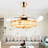Ceiling Fan with LED Lights