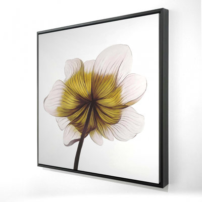" Beautiful Anemone Yellow Flower "