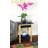Alfie-Thomas End Table with Storage-970689399