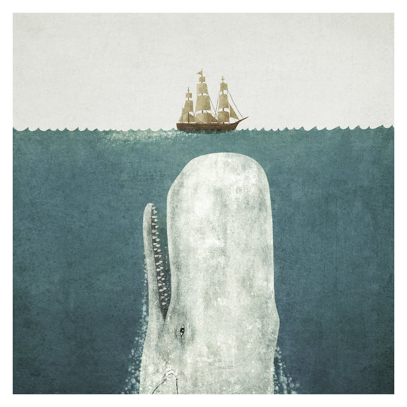 « white baleine », impression sur toile tendue, H 18 po x l 18 po x P 1,5 po, Toile tendue