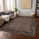 Machine Washable Indoor/Outdoor Claudian ACN1230 Brown Rug