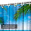 Tropical Beach Coconut Palm-517950603