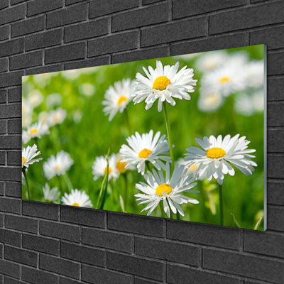 Daisy - No Frame Print on Glass