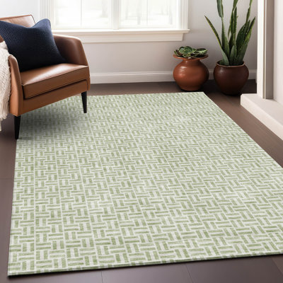 Premium Machine Washable Prisco Aloe Rug