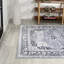 Frutuosa Bohemian Distressed Chenille Machine-Washable Grey/White Rug-88570916