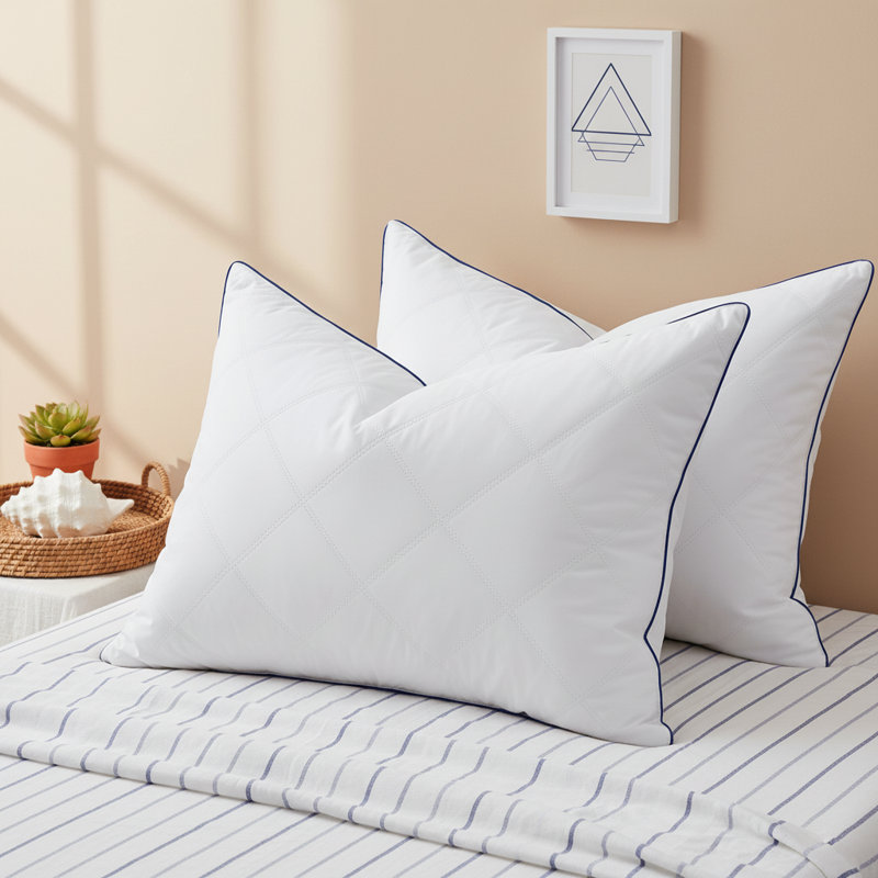 2 Pack Hotel Goose Feather Soft to Medium Bed Pillows for Side & Back Sleepers, King